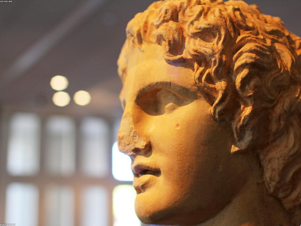 អារម្មណ៍នៃអ្នកប្រយុទ្ធ