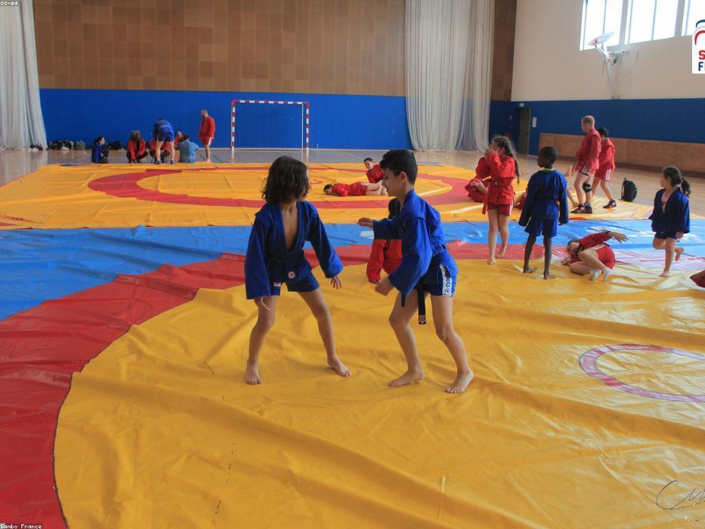 អ្នកប្រយុទ្ធ: ការពន្យល់អំពីភាពជោគជ័យនៃអ្នកប្រយុទ្ធ